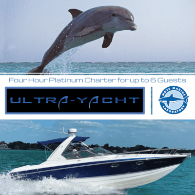 Platinum Charter Gift Card
